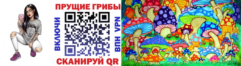 кракен зеркало  Слюдянка  Псилоцибиновые грибы мицелий 
